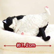 Load image into Gallery viewer, 【JAPANESE BLIND BOX】SLEEPY CAT BLIND BOX