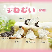 Load image into Gallery viewer, 【JAPANESE BLIND BOX】SLEEPY CAT BLIND BOX