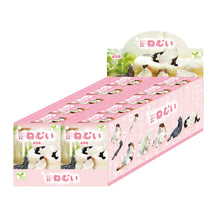Load image into Gallery viewer, 【JAPANESE BLIND BOX】SLEEPY CAT BLIND BOX