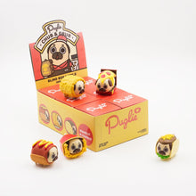 Load image into Gallery viewer, Puglie Chub & Grub Blind Box Vinys