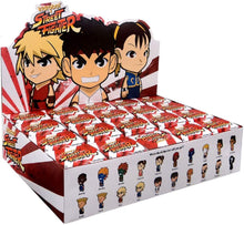 Load image into Gallery viewer, Kidrobot Street Fighter Mini Series 1 Blind Box