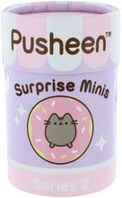 Load image into Gallery viewer, Pusheen - Suprise Mini Figurines