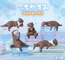 Load image into Gallery viewer, 【JAPANESE BLIND BOX】RESTING OTTER BLIND BOX
