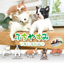 Load image into Gallery viewer, 【JAPANESE BLIND BOX】RESTING DOG 5 DOGS MIXED SURPRISE BOX
