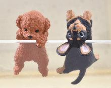 Load image into Gallery viewer, 【JAPANESE BLIND BOX】RESTING DOG 5 DOGS MIXED SURPRISE BOX
