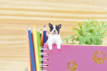 Load image into Gallery viewer, 【JAPANESE BLIND BOX】RESTING DOG 5 DOGS MIXED SURPRISE BOX
