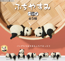 Load image into Gallery viewer, 【~NEW~ JAPANESE BLIND BOX】RESTING PANDA SURPRISE BOX
