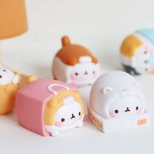 Load image into Gallery viewer, Molang Lazy Cat Costume Figure Blind Box Random Toy Vol.5
