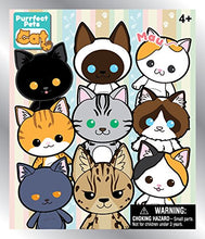 Load image into Gallery viewer, Monogram Purrfect Pets Cats Series 1 Keychain Blind Bag
