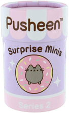 Load image into Gallery viewer, Pusheen - Suprise Mini Figurines
